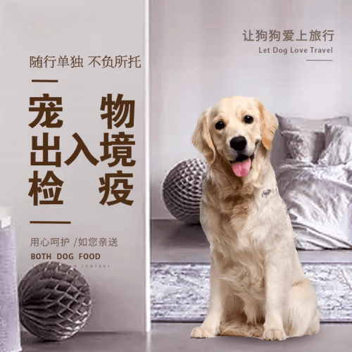 巴中市宠物托运到哥伦比亚猫狗宠物入境规定和