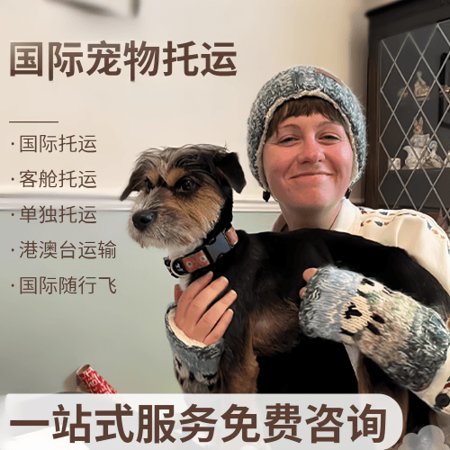 巴中市国际宠物托运到阿根廷宠物入境规定和要
