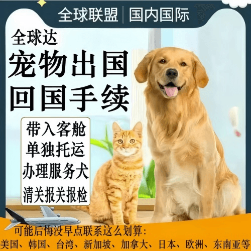 巴中市宠物托运到柬埔寨宠物入境规定和要求