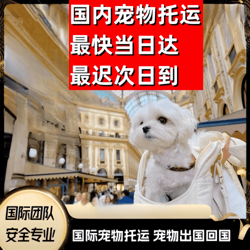 巴中市到澳大利亚（澳洲）宠物入境规定和要求